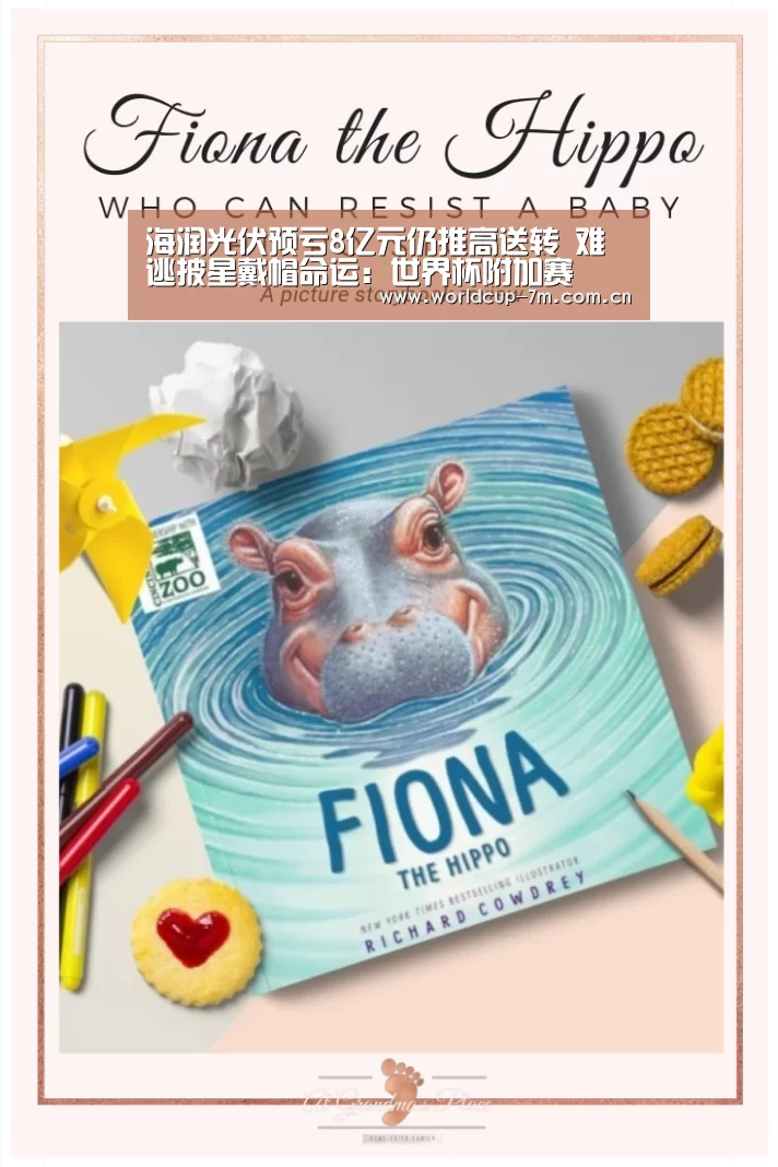 世界杯赛组