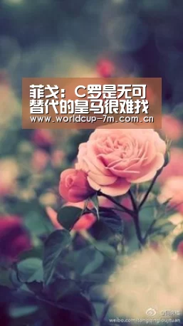 菲戈:C罗是无可替代的皇马很难找到他的接班人“世界杯赛组”(图1) 世界杯赛组