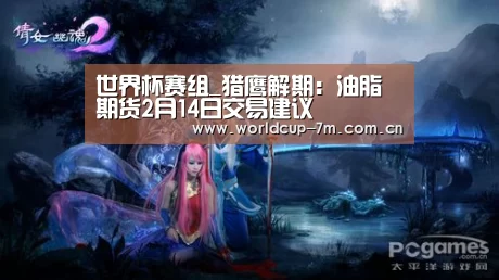 世界杯附加赛