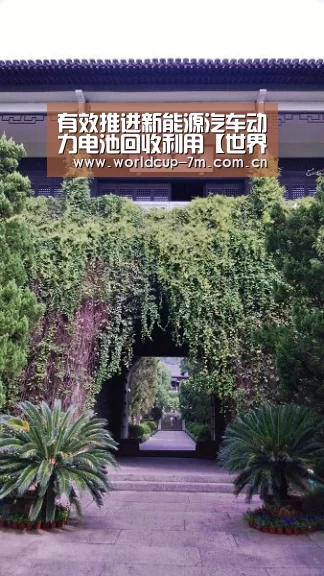世界杯赛组