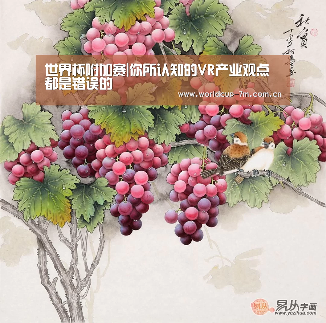 世界杯附加赛|你所认知的VR产业观点都是错误的(图4) 世界杯赛组