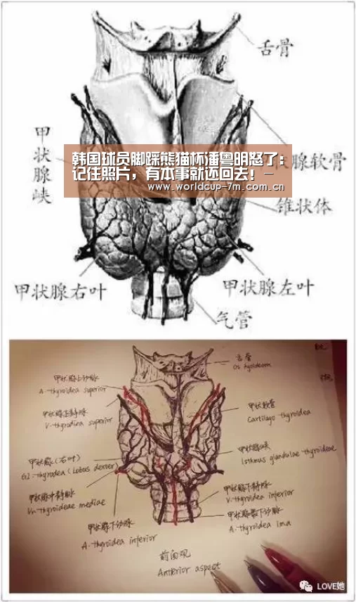 韩国球员脚踩熊猫杯潘粤明怒了:记住照片,有本事就还回去!-世界杯官方中文网(图3) 世界杯赛组